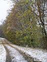 Winter 106